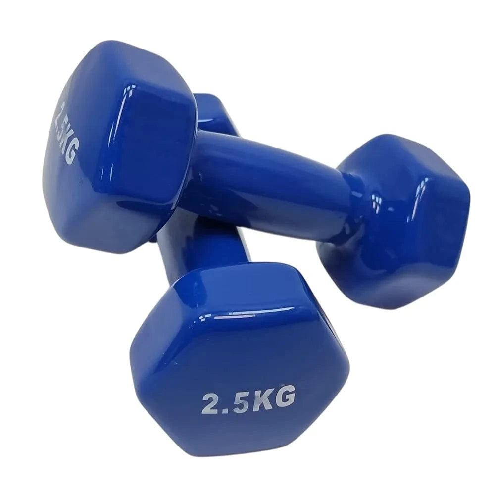 Dumbbell Set with carry case HP2407