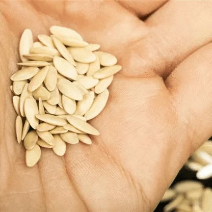 10 pcs Planting seeds OG2374