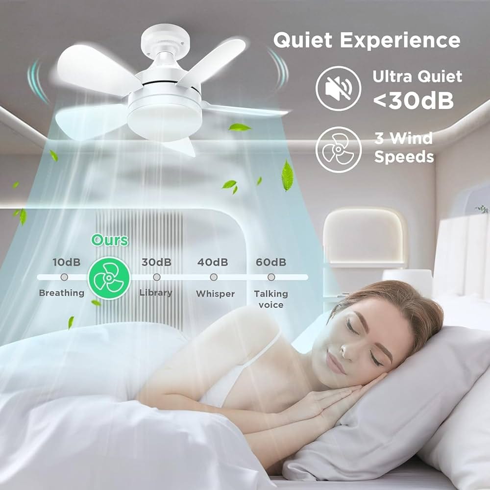 SOCKET FAN LIGHT HA2384