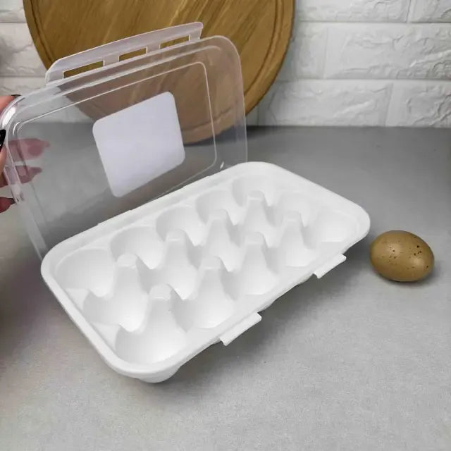 PLASTART EGG BOX kt1197