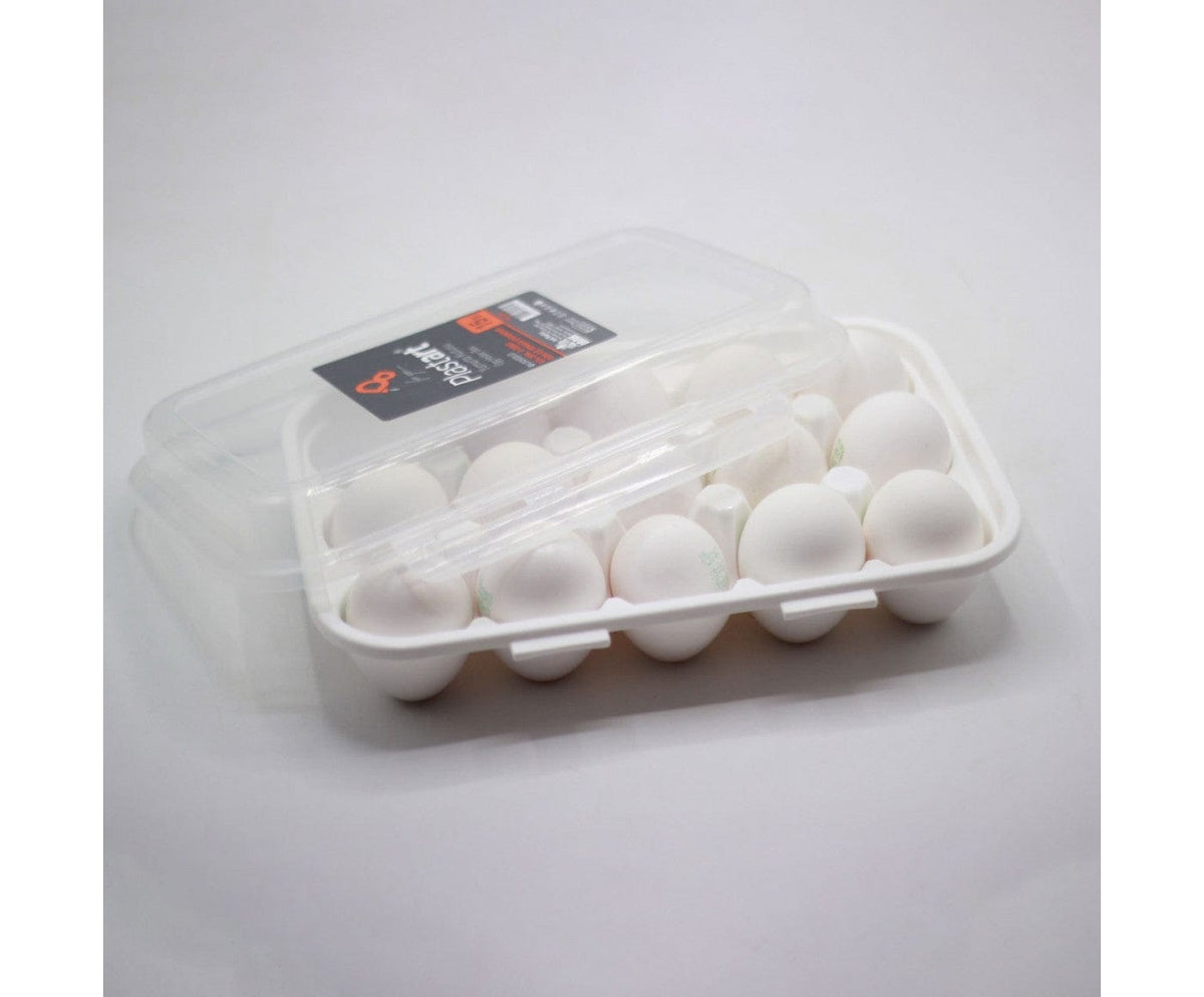 PLASTART EGG BOX kt1197