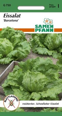 10 pcs Planting seeds OG2374