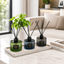 Breeze Town Reed Diffusers Collection