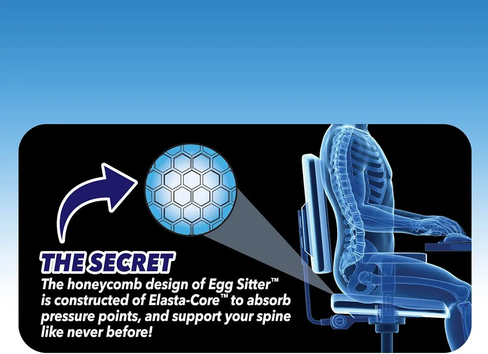 Egg Seater Cushion