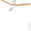 Create Ceiling Fan with Light