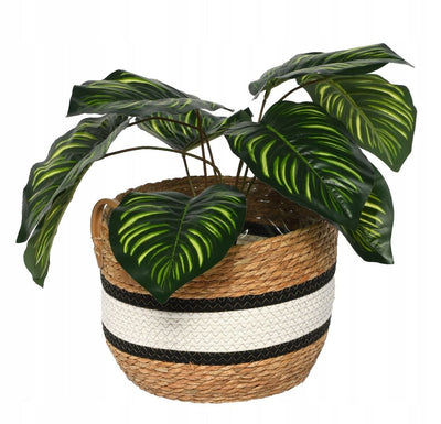 Natural baskets with Handle