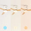 Create Ceiling Fan with Light