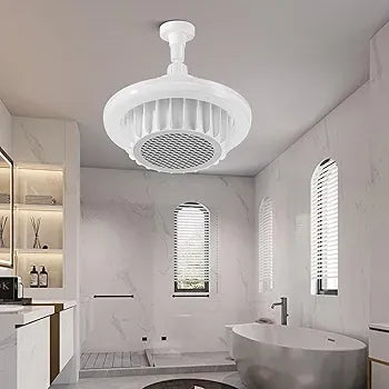 800W Heating Fan Led Lamp HL800