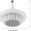 800W Heating Fan Led Lamp HL800