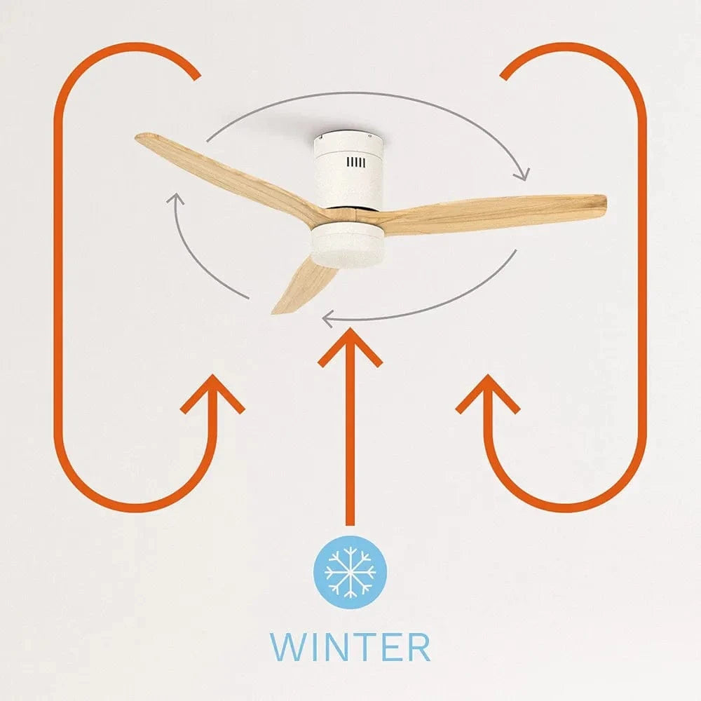 Create Ceiling Fan with Light