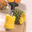 Pineapple Corer KT1041