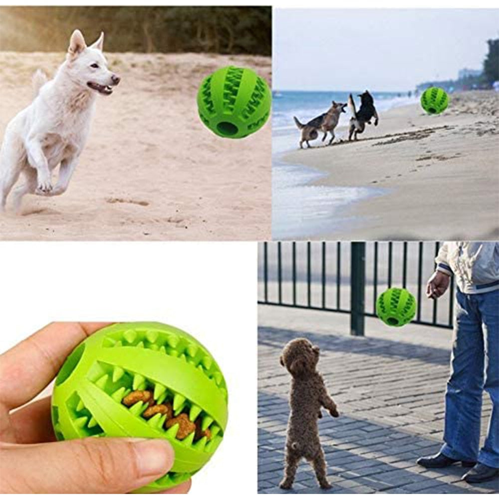 Rubber Feeder Pet Ball