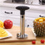 Pineapple Corer KT1041