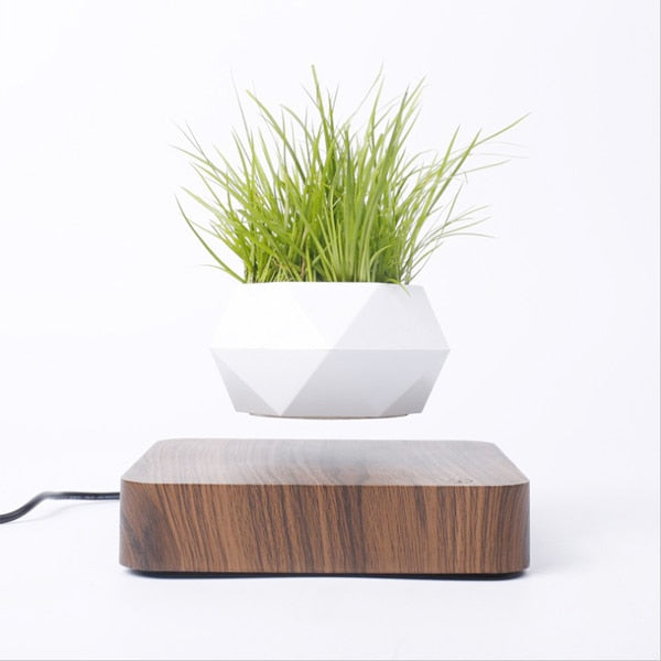 Floating Flower Pot Gadget