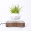 Floating Flower Pot Gadget