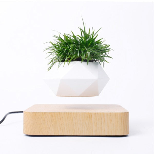 Floating Flower Pot Gadget