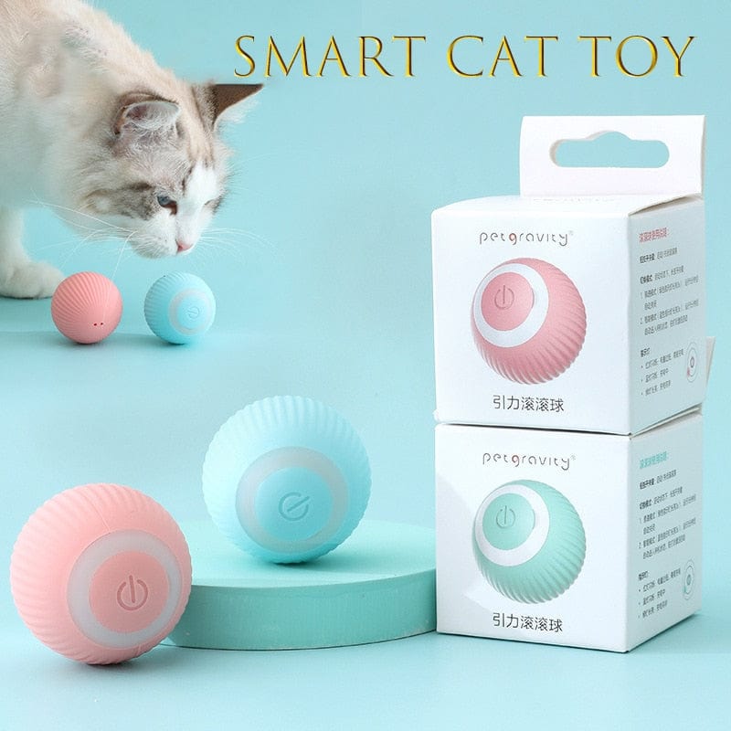 Pet