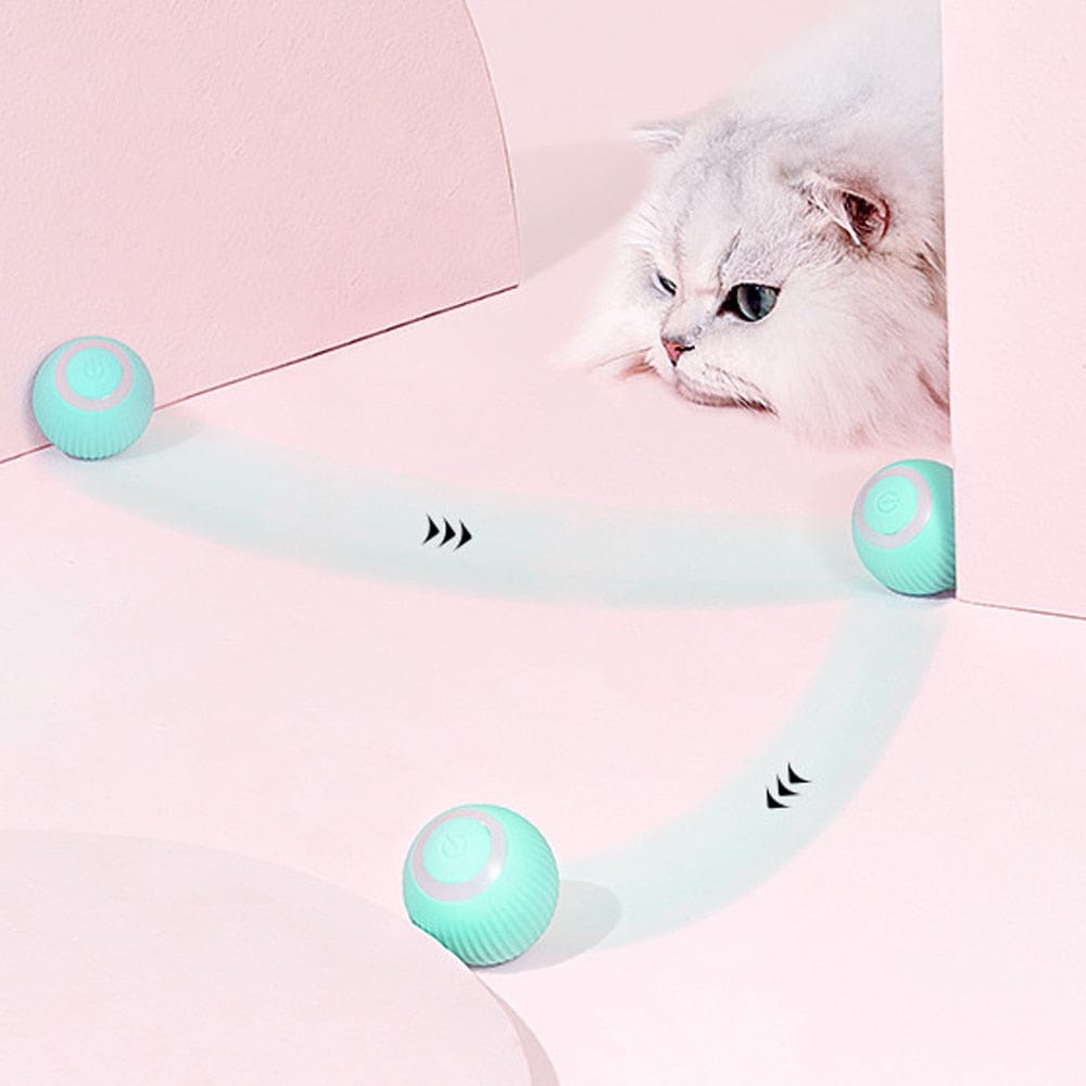 Smart Pet Gravity Ball PS1091