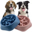 Slow Feeder Pet  Bowl PS1259